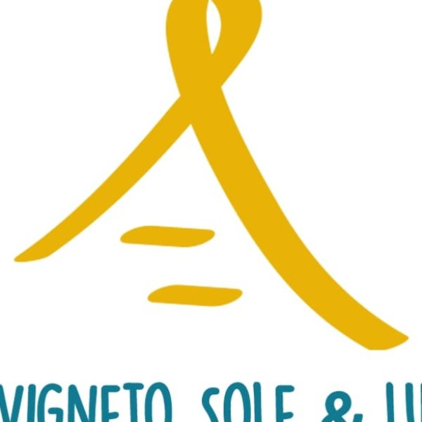 IL VIGNETO SOLE & LUNA logo