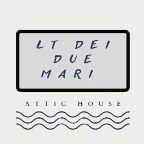 LT Due Mari logo