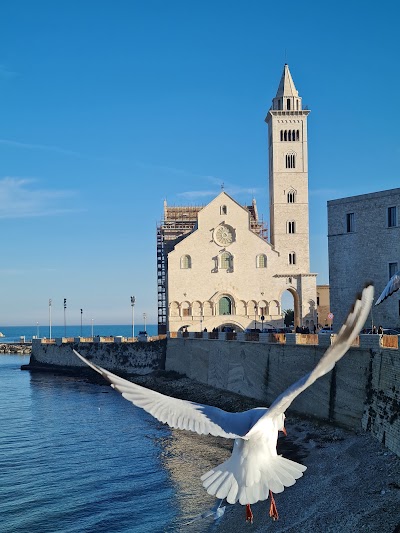 Trani