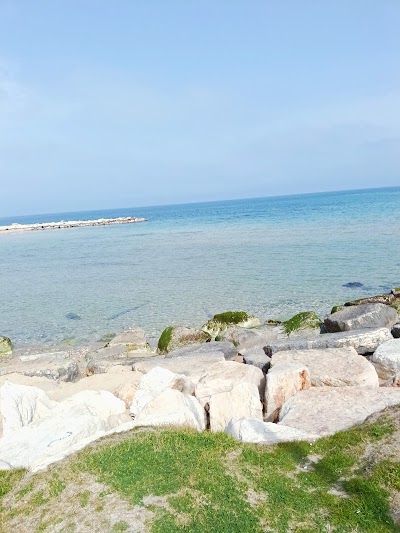 Pane e Pomodoro free