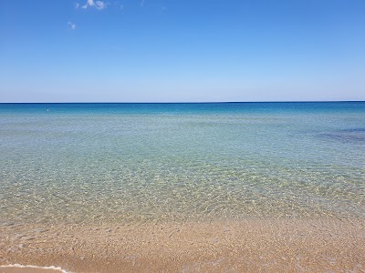 Lido Bosco Verde