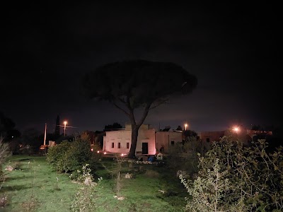 Davide Lamacchia - Botanical Garden