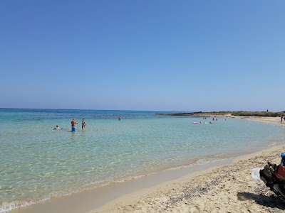 Spiaggia di Torre Guaceto