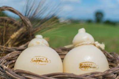 Masseria Seppunisi - Farm Visit