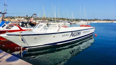 Tour Paloma - Vieste in barca