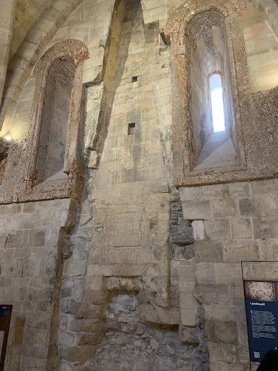 PlacenPeople | The best Tours and Experiences in Puglia with a community of new friends